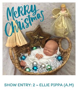 SHOW ENTRY: 2 ~ ELLIE PIPPA (A.M)