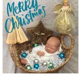 SHOW ENTRY: 2 ~ ELLIE PIPPA (A.M)