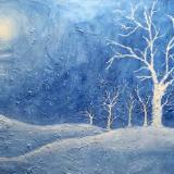 The Beauty of Winter