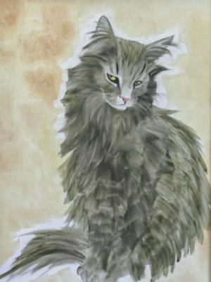 Skeptical Cat Skeptical Cat