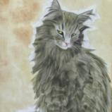 Skeptical Cat