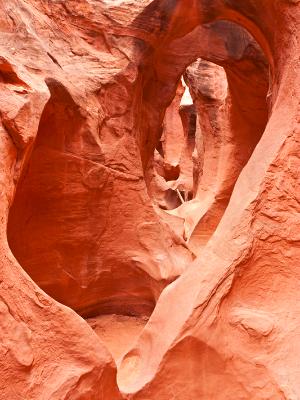Peek-a-Boo Arches Peek-a-Boo Arches