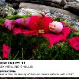 Show Entry: Shellie