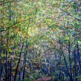 Spring Canopy