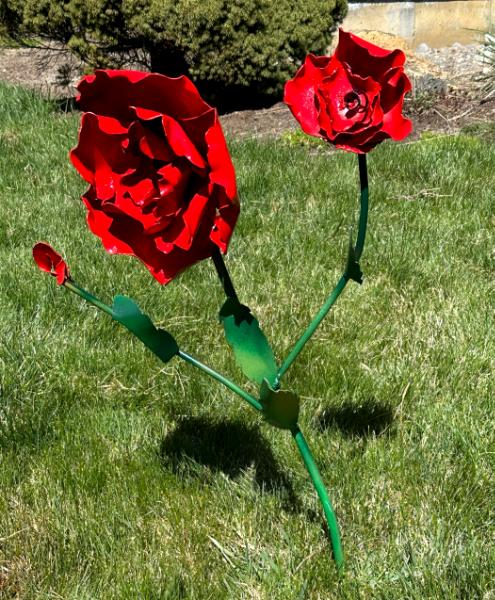 RED POPPIES!