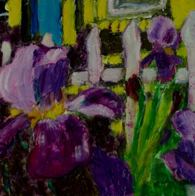 Blue Door Iris Blue Door Iris