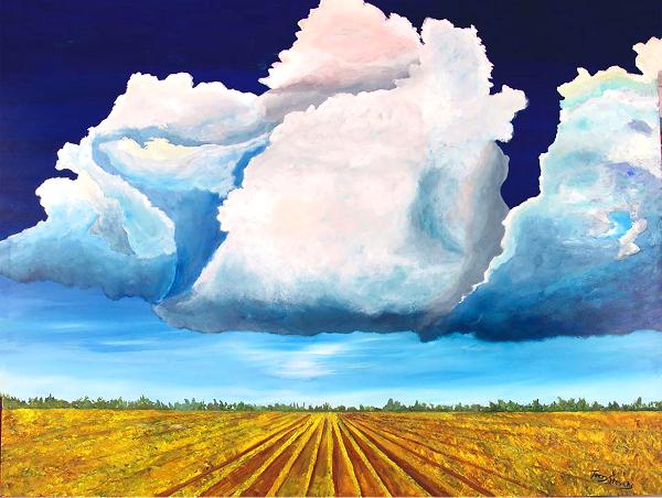 Cumulous Cornfield