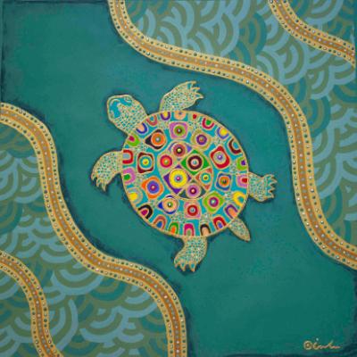 Turtle Drift Turtle Drift
