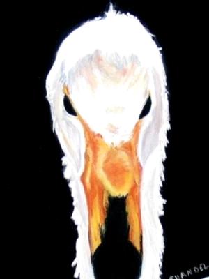 Swans Way-Whooper Swan