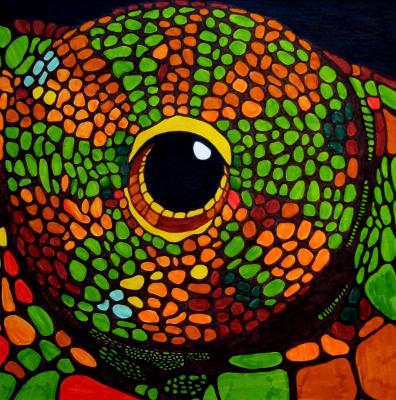 Lizard Eye Lizard Eye