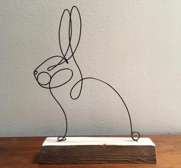 One Wire Rabbit