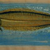 Long Tongue Sole
