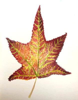 Red Leaf