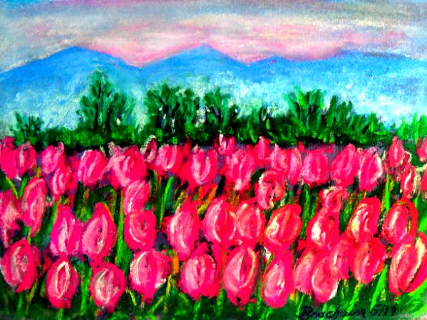 Skagit's Tulips