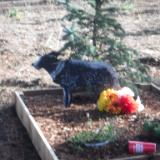 CUSTOM METAL ART IN CENTRAL OREGON