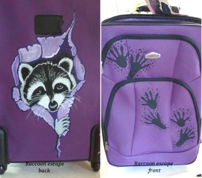 Raccoon escape 3 piece set