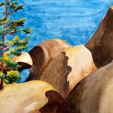 Joshua Tree Pine