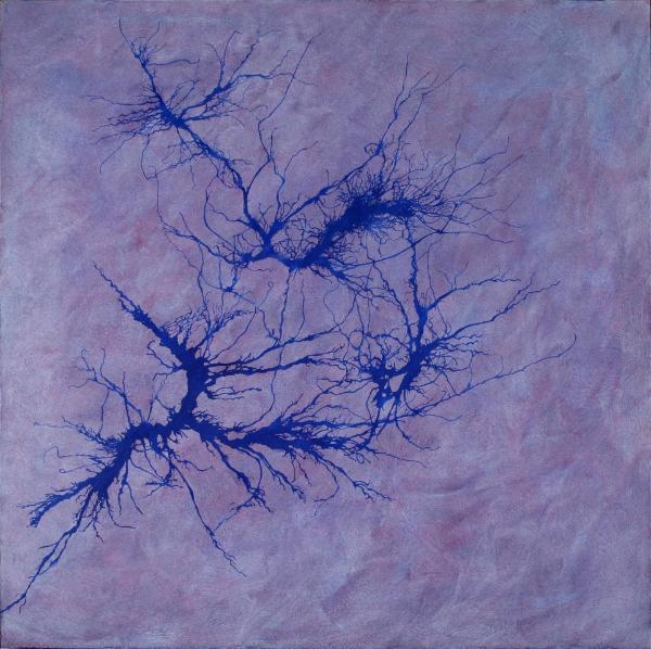 Zephyr Series No. 1