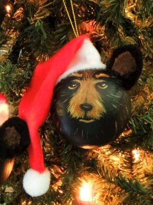 Santa Bear Santa Bear