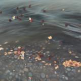 Art's Alive!  Invitational and Juried Fine Art Shows