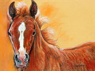 Fuzzy Colt Fuzzy Colt
