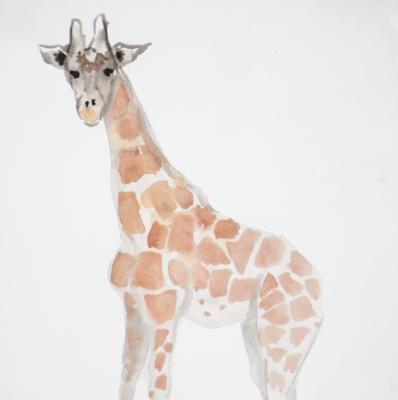 The Giraffe who Posed for Me The Giraffe who Posed for Me