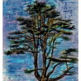 the Tree