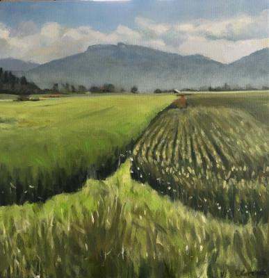 Green Fields Green Fields