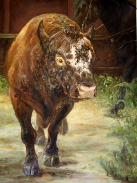 Hotlander Bull
