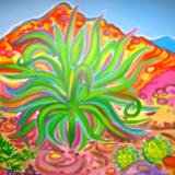 Squaw Peak Succulent