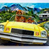 Portfolio of Commissioned Pet Portraits