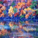 Algonquin Fall Color Reflection