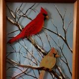 Cardinal  pair