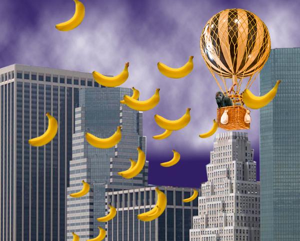 Raining bananas in NY