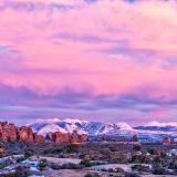 Colin D. Young Photography
