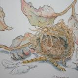 The Wrens Nest - (Student)