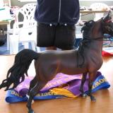 Bowral LIVE 2011