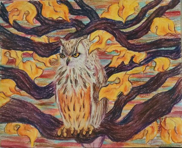 Eagle Owl in Oak Tree