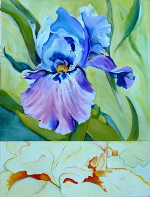 Iris in split format Iris in split format