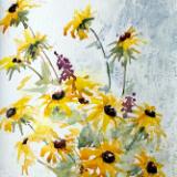 Copper Pitcher & More Daisies