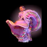 Sue Wren Visual Artist