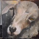 An Old Soul