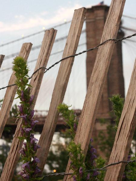 Brooklyn Bridge (with fence)