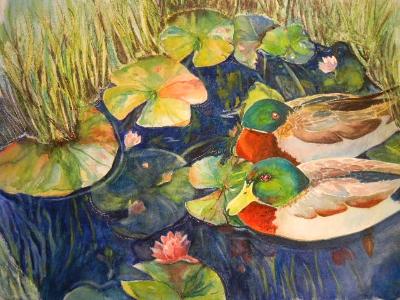 Ducks and Lillies