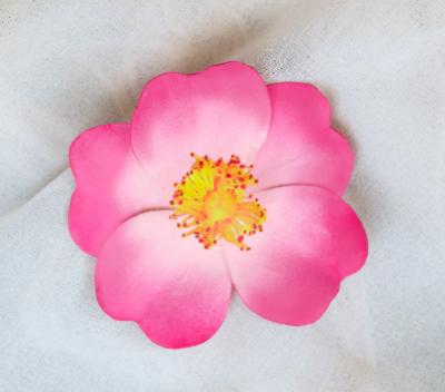 Pink Wild Rose Pin Pink Wild Rose Pin
