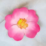 Pink Wild Rose Pin