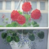 Hanging Geraniums