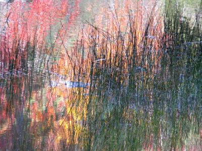 fall reflections 1