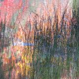 fall reflections 1