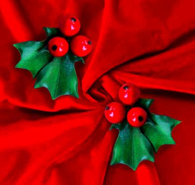 Holly and Berry Earrings Holly and Berry Earrings